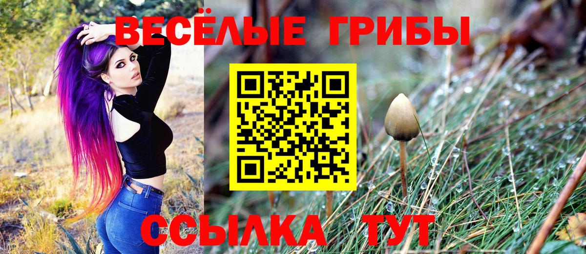 Псилоцибиновые грибы MAGIC MUSHROOMS  Вход с VPN  Славгород 